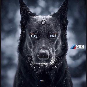 Meet your Posher, Aldo